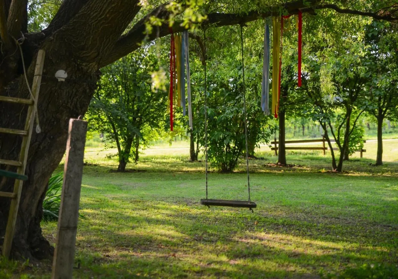 Country House Near Venice Villa Palazzo del Mayne Holiday home